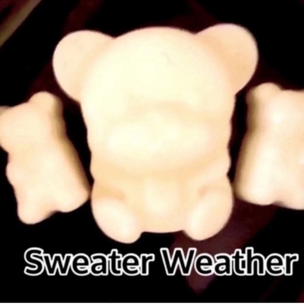Bath and Body Works Candle Wax Melt Bundle - Picture 4 of 10